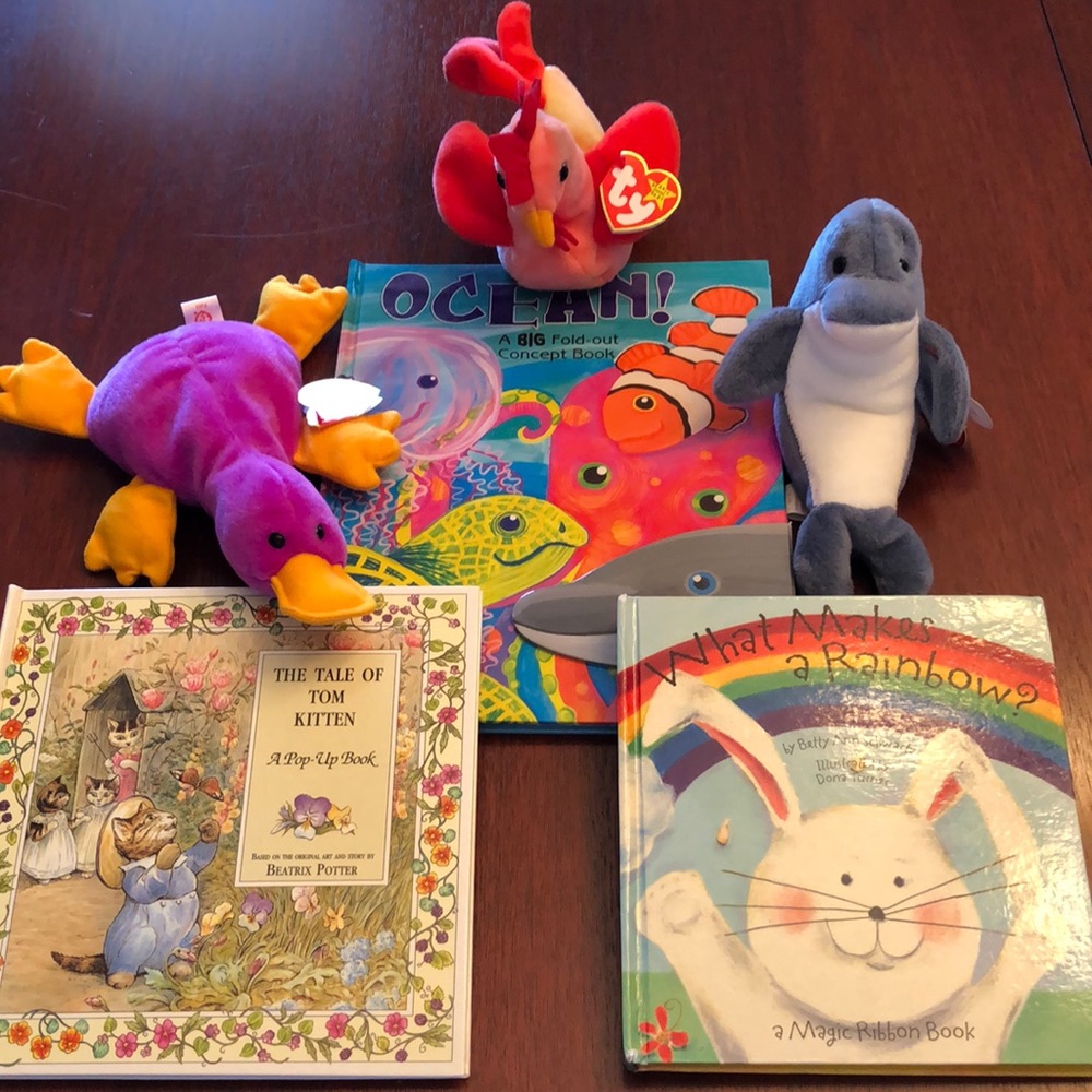 Three Children’s Books and three Beanie Babies